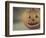 Pumpkin Man-Jennifer Kennard-Framed Photographic Print