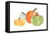 Pumpkin Menagerie I-Chris Paschke-Framed Stretched Canvas