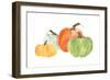 Pumpkin Menagerie I-Chris Paschke-Framed Art Print