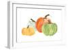 Pumpkin Menagerie I-Chris Paschke-Framed Art Print