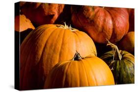 Pumpkin Patch Assorted Pumpkins Photo Poster Print-null-Stretched Canvas