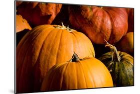 Pumpkin Patch Assorted Pumpkins Photo Poster Print-null-Mounted Poster