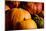 Pumpkin Patch Assorted Pumpkins Photo Poster Print-null-Mounted Poster