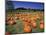 Pumpkin Patch, CA-Mitch Diamond-Mounted Photographic Print