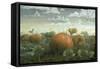 Pumpkin Patch-Joseph Jackino-Framed Stretched Canvas