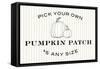 Pumpkin Patch-Wild Apple Portfolio-Framed Stretched Canvas