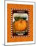 Pumpkin Seed Pack-null-Mounted Giclee Print