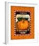 Pumpkin Seed Pack-null-Framed Giclee Print