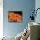 Pumpkin Smiles - Jack & Jill-Rachel Owings-Mounted Giclee Print displayed on a wall