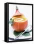 Pumpkin Soup with Creme Fraiche in Hollowed-Out Pumpkin-Brigitte Sporrer-Framed Stretched Canvas