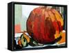 Pumpkin Still Life I-Erin McGee Ferrell-Framed Stretched Canvas