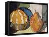 Pumpkin Still Life II-Erin McGee Ferrell-Framed Stretched Canvas