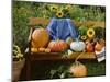 Pumpkin Still Life on Wooden Bench in Country Garden-null-Mounted Photographic Print