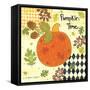 Pumpkin Time-Annie LaPoint-Framed Stretched Canvas