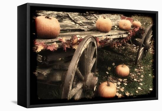 Pumpkin Wagon-Mindy Sommers-Framed Stretched Canvas