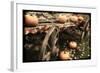 Pumpkin Wagon-Mindy Sommers-Framed Giclee Print