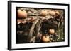 Pumpkin Wagon-Mindy Sommers-Framed Giclee Print