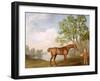 Pumpkin with a Stable-Lad, 1774 (Oil on Panel)-George Stubbs-Framed Giclee Print