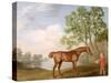 Pumpkin with a Stable-Lad, 1774 (Oil on Panel)-George Stubbs-Stretched Canvas