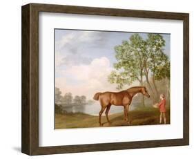 Pumpkin with a Stable-Lad, 1774 (Oil on Panel)-George Stubbs-Framed Premium Giclee Print