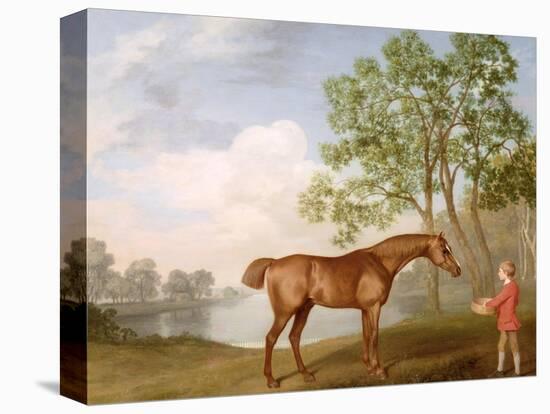 Pumpkin with a Stable-Lad, 1774 (Oil on Panel)-George Stubbs-Stretched Canvas