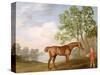 Pumpkin with a Stable-Lad, 1774 (Oil on Panel)-George Stubbs-Stretched Canvas