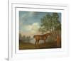 Pumpkin with a Stable-lad-George Stubbs-Framed Premium Giclee Print