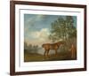 Pumpkin with a Stable-lad-George Stubbs-Framed Premium Giclee Print