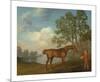 Pumpkin with a Stable-lad-George Stubbs-Mounted Premium Giclee Print