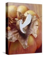 Pumpkin with Autumn Leaf and Cep-Eising Studio - Food Photo and Video-Stretched Canvas