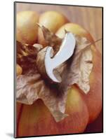 Pumpkin with Autumn Leaf and Cep-Eising Studio - Food Photo and Video-Mounted Photographic Print