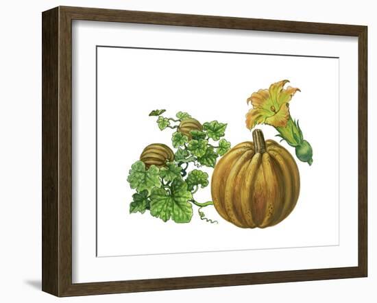 Pumpkin-Giglioli E.-Framed Giclee Print