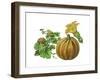 Pumpkin-Giglioli E.-Framed Giclee Print