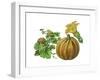 Pumpkin-Giglioli E.-Framed Giclee Print