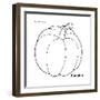 Pumpkin-Olga And Alexey Drozdov-Framed Giclee Print