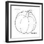 Pumpkin-Olga And Alexey Drozdov-Framed Giclee Print