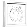 Pumpkin-Olga And Alexey Drozdov-Framed Giclee Print