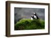 Pumpkin-Ralf Kayser-Framed Photographic Print