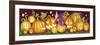 Pumpkins a Border-Olga And Alexey Drozdov-Framed Giclee Print