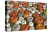 Pumpkins Collage-null-Stretched Canvas