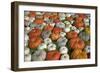 Pumpkins Collage-null-Framed Photographic Print
