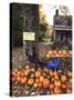 Pumpkins For Sale in New England-Bill Bachmann-Stretched Canvas