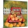 Pumpkins for Sale-Kathleen Parr McKenna-Mounted Art Print