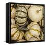 Pumpkins, Gouds and Winter Squash for Sale-Richard T. Nowitz-Framed Stretched Canvas