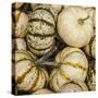 Pumpkins, Gouds and Winter Squash for Sale-Richard T. Nowitz-Stretched Canvas