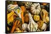 Pumpkins, Gouds and Winter Squash for Sale-Richard T. Nowitz-Framed Stretched Canvas