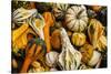 Pumpkins, Gouds and Winter Squash for Sale-Richard T. Nowitz-Stretched Canvas