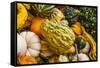 Pumpkins, Gouds and Winter Squash for Sale-Richard T. Nowitz-Framed Stretched Canvas