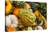 Pumpkins, Gouds and Winter Squash for Sale-Richard T. Nowitz-Stretched Canvas