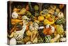 Pumpkins, Gouds and Winter Squash for Sale-Richard T. Nowitz-Stretched Canvas